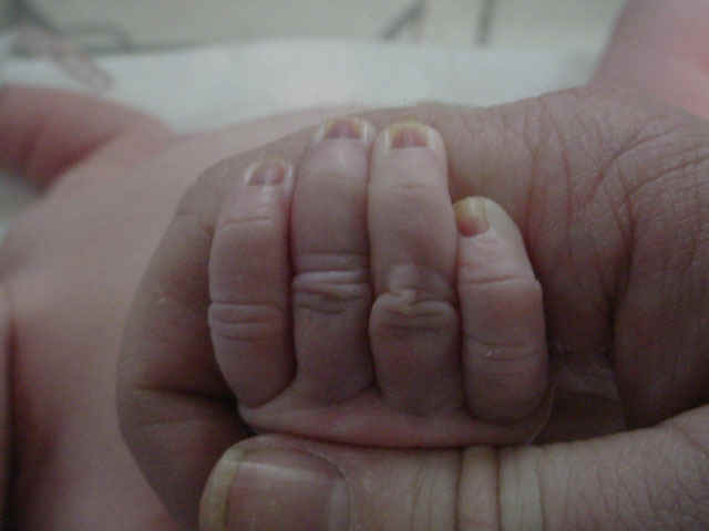 Dadshand.jpg (44174 bytes)