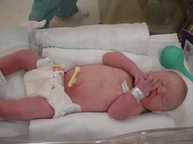 Paige3.jpg (48554 bytes)