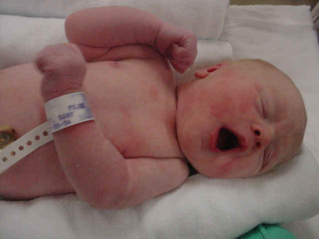 PaigeYawn.jpg (46437 bytes)