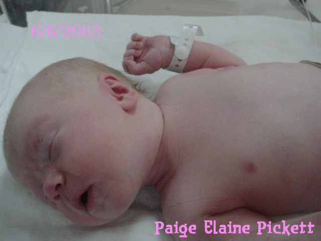 SweetPaige2.gif (182491 bytes)